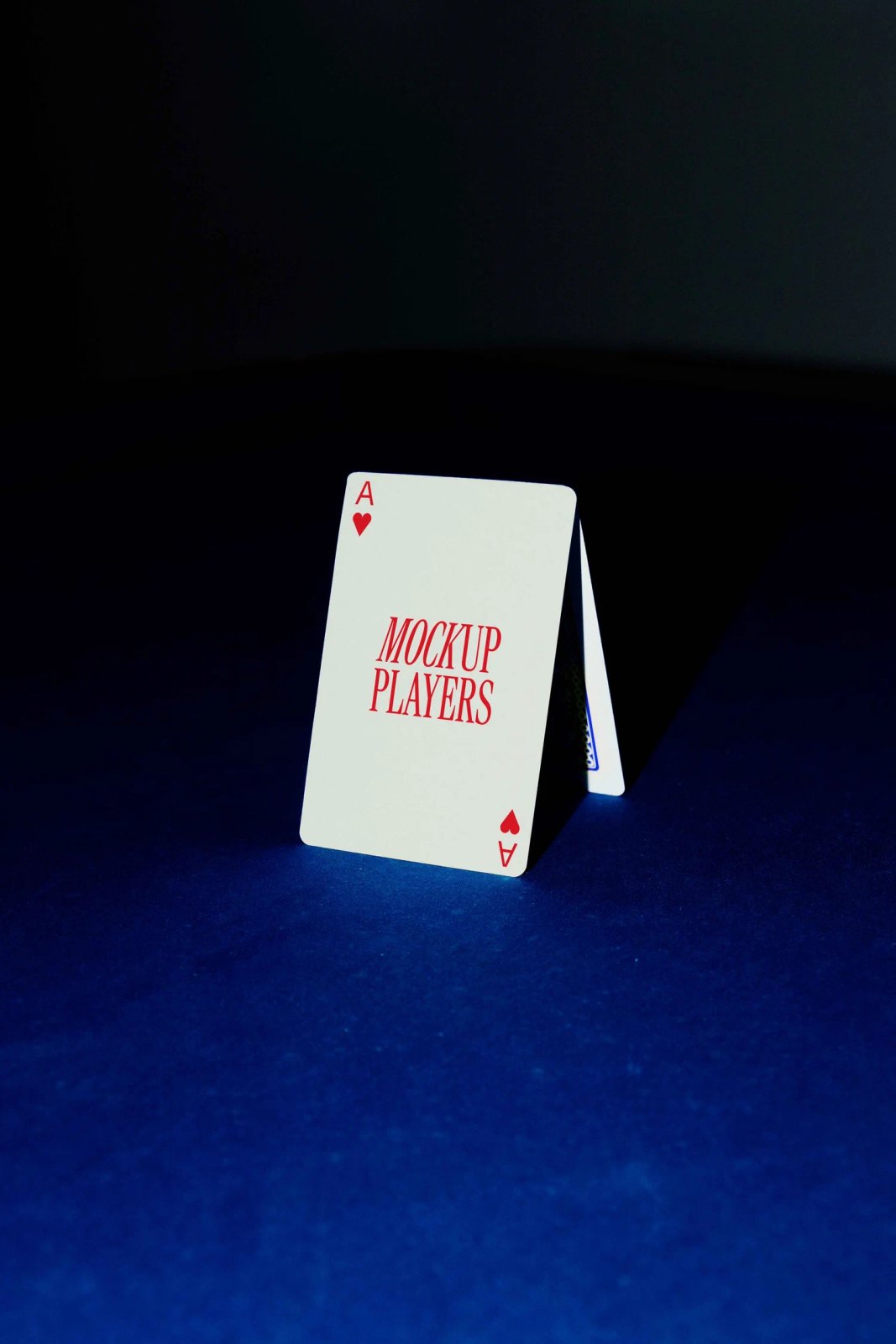 CASINO CARD 02