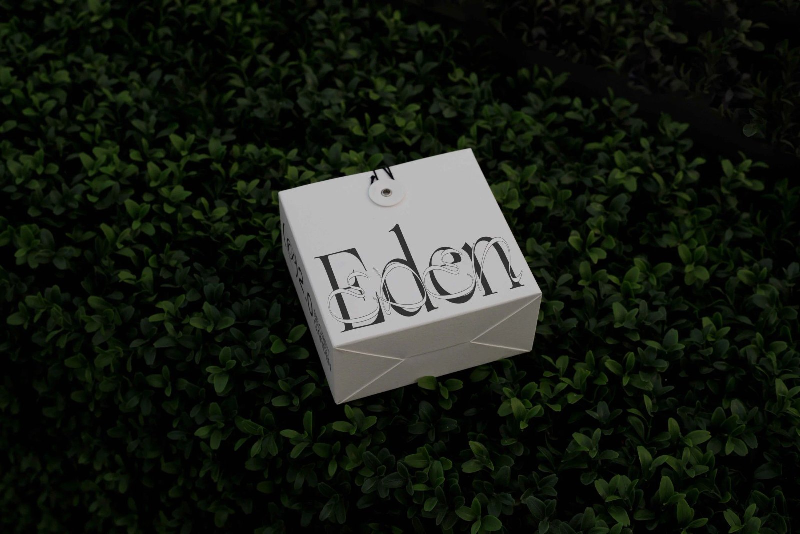 EDEN 02 BOX 03