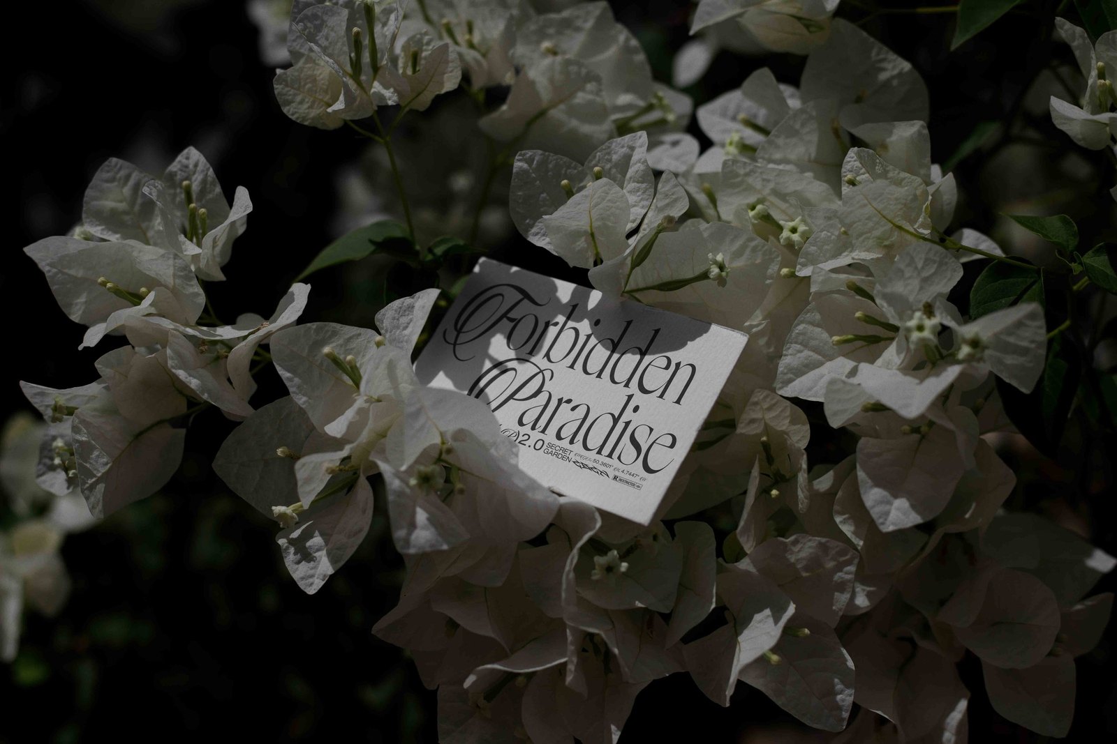 EDEN 02 BUSINESS CARD 12 preview 4