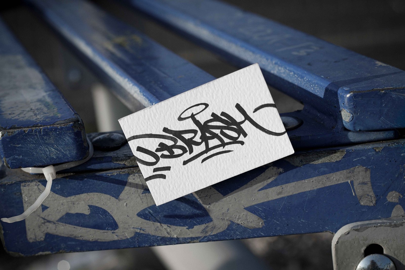 BRASH BUSINESS CARD 05 preview 4