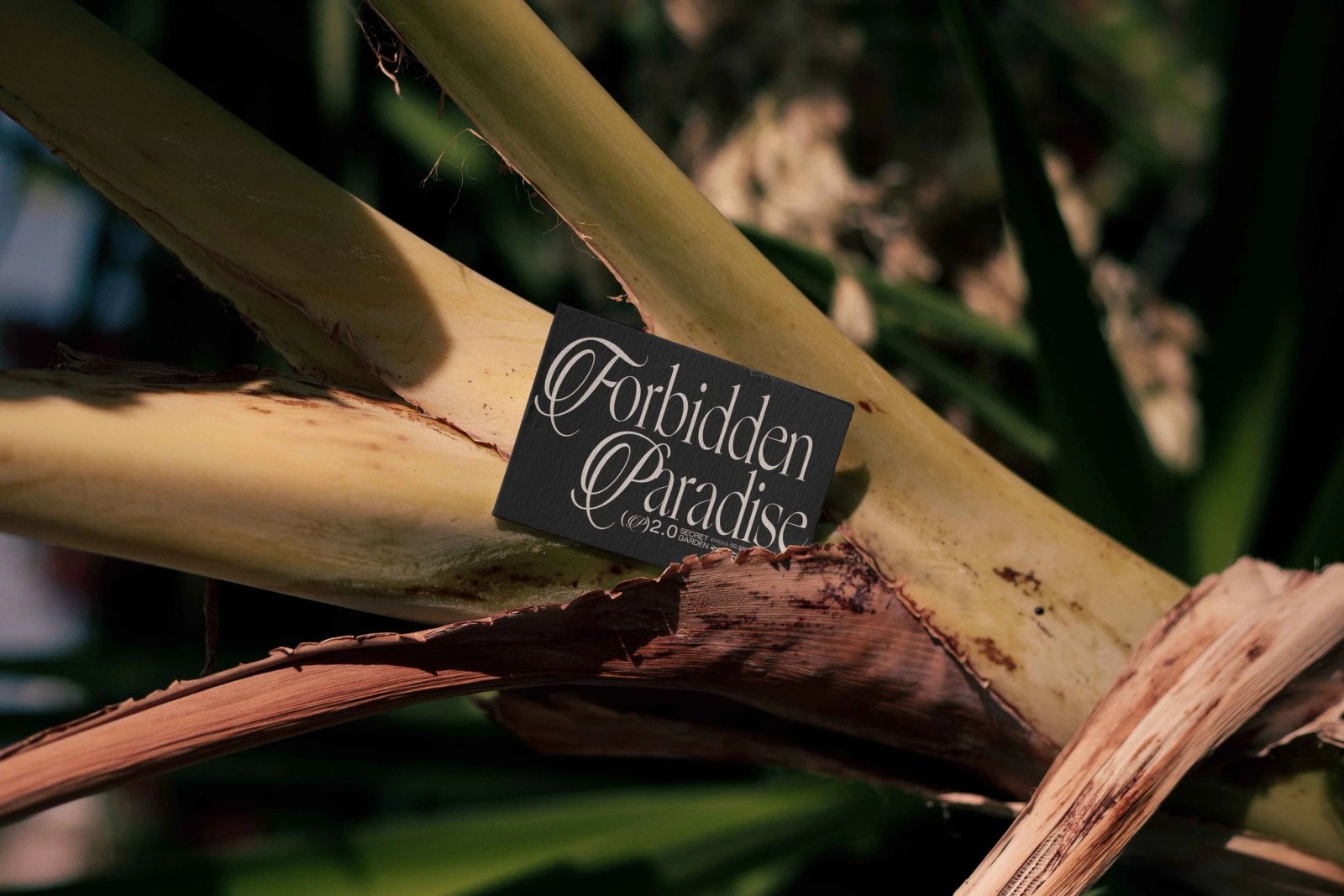 EDEN 02 BUSINESS CARD 21 preview 4