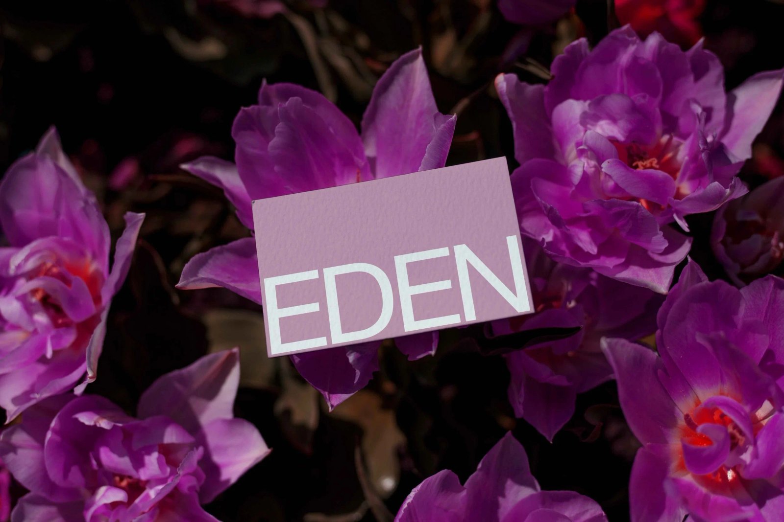 EDEN BUSINESS CARD 06