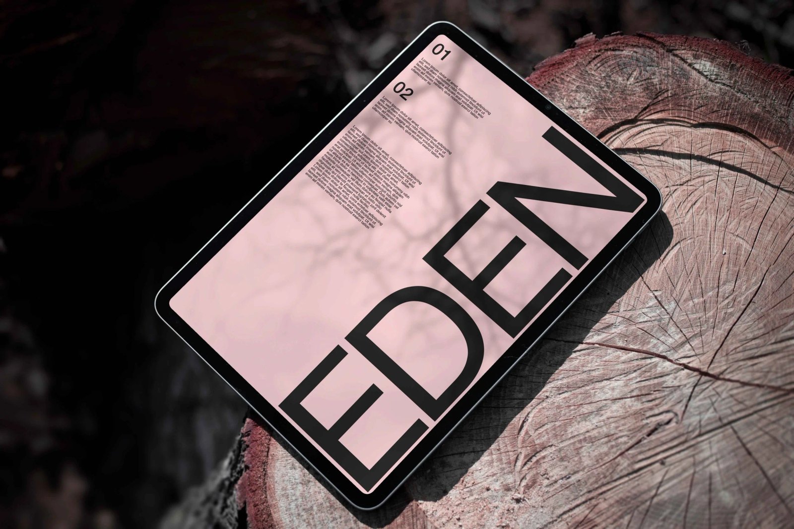 EDEN IPAD 01 preview 2