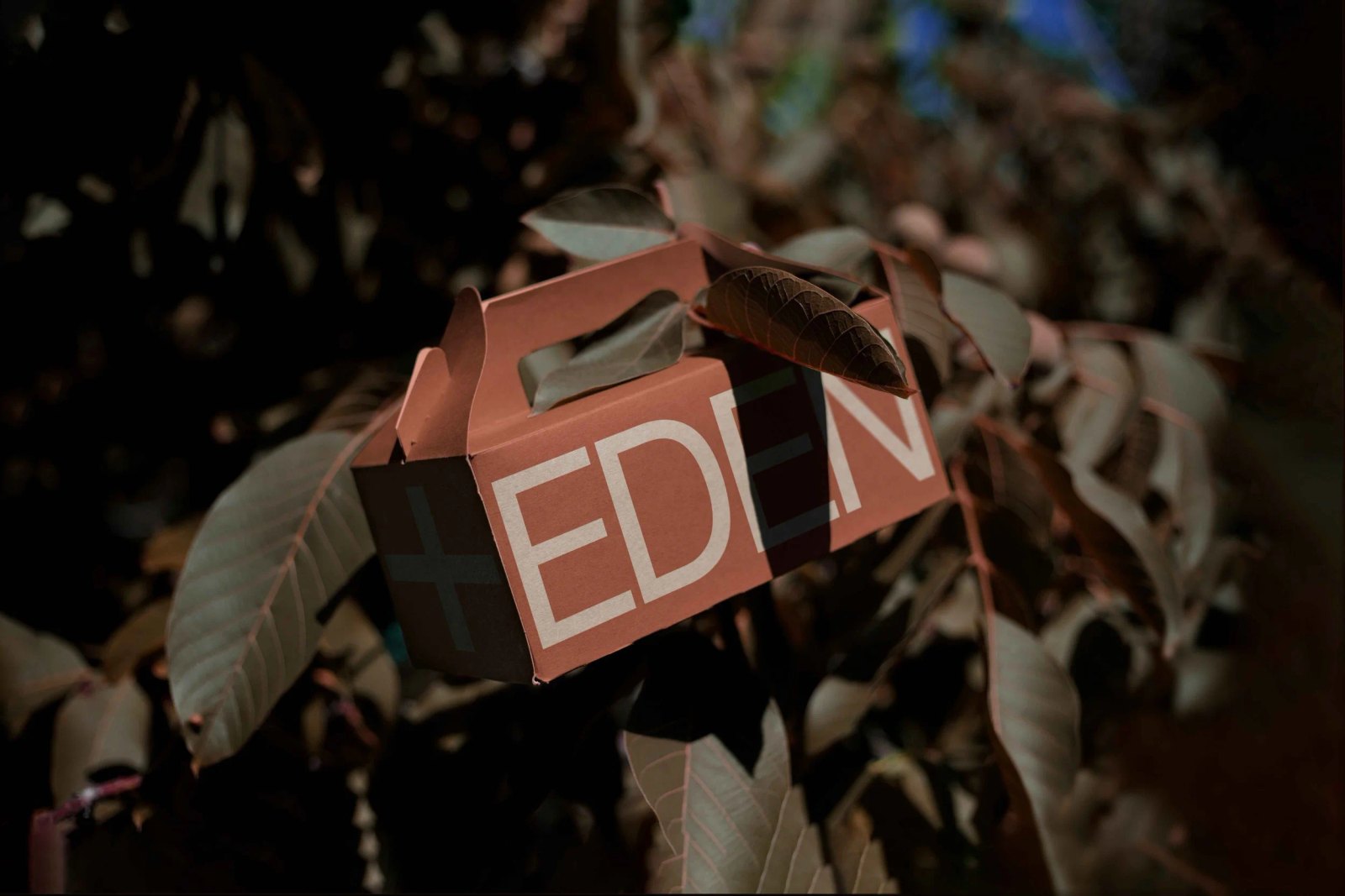 EDEN SMALL ECO BOX 02 preview 3