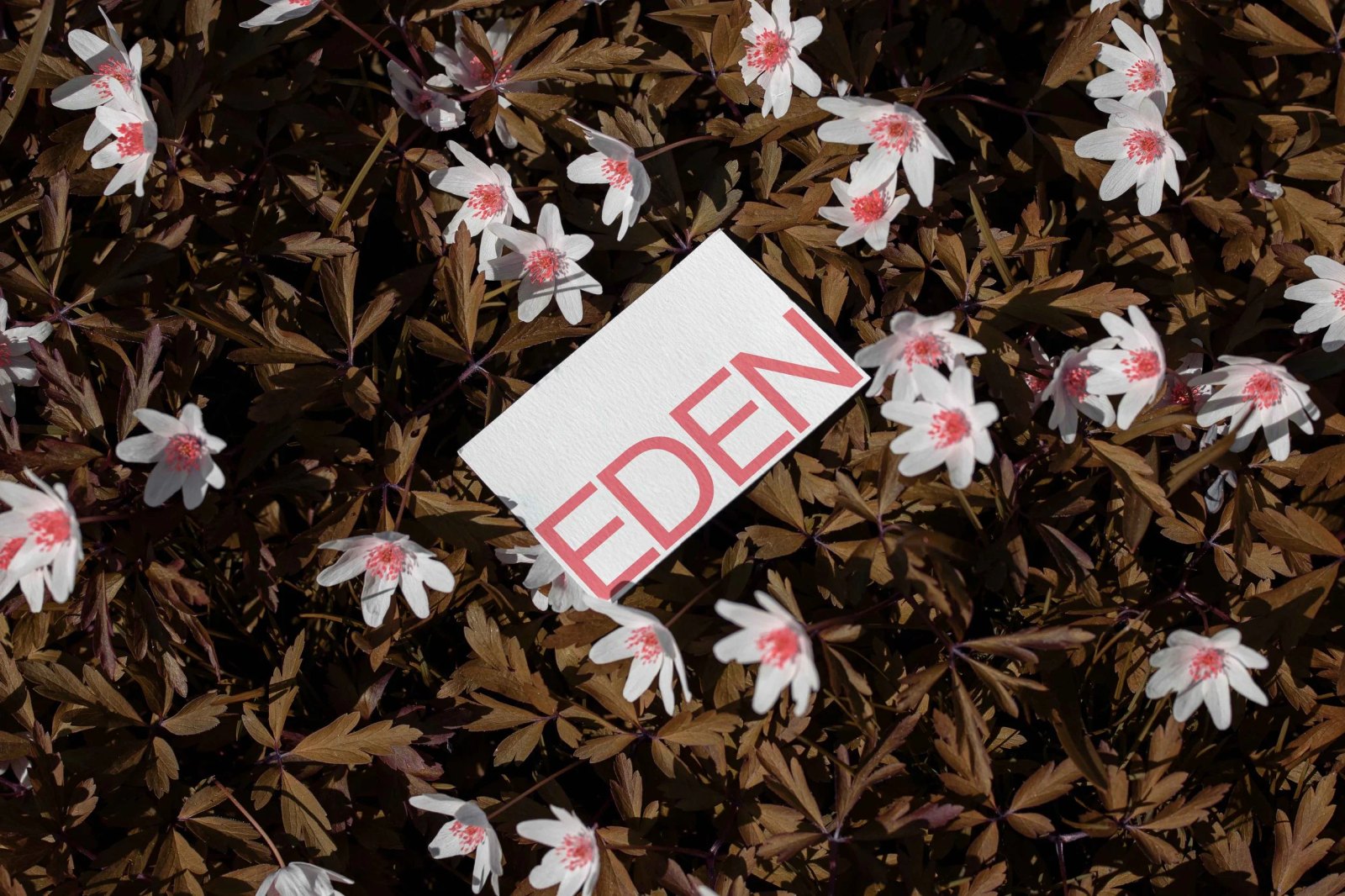 EDEN BUSINESS CARD 08 preview 3