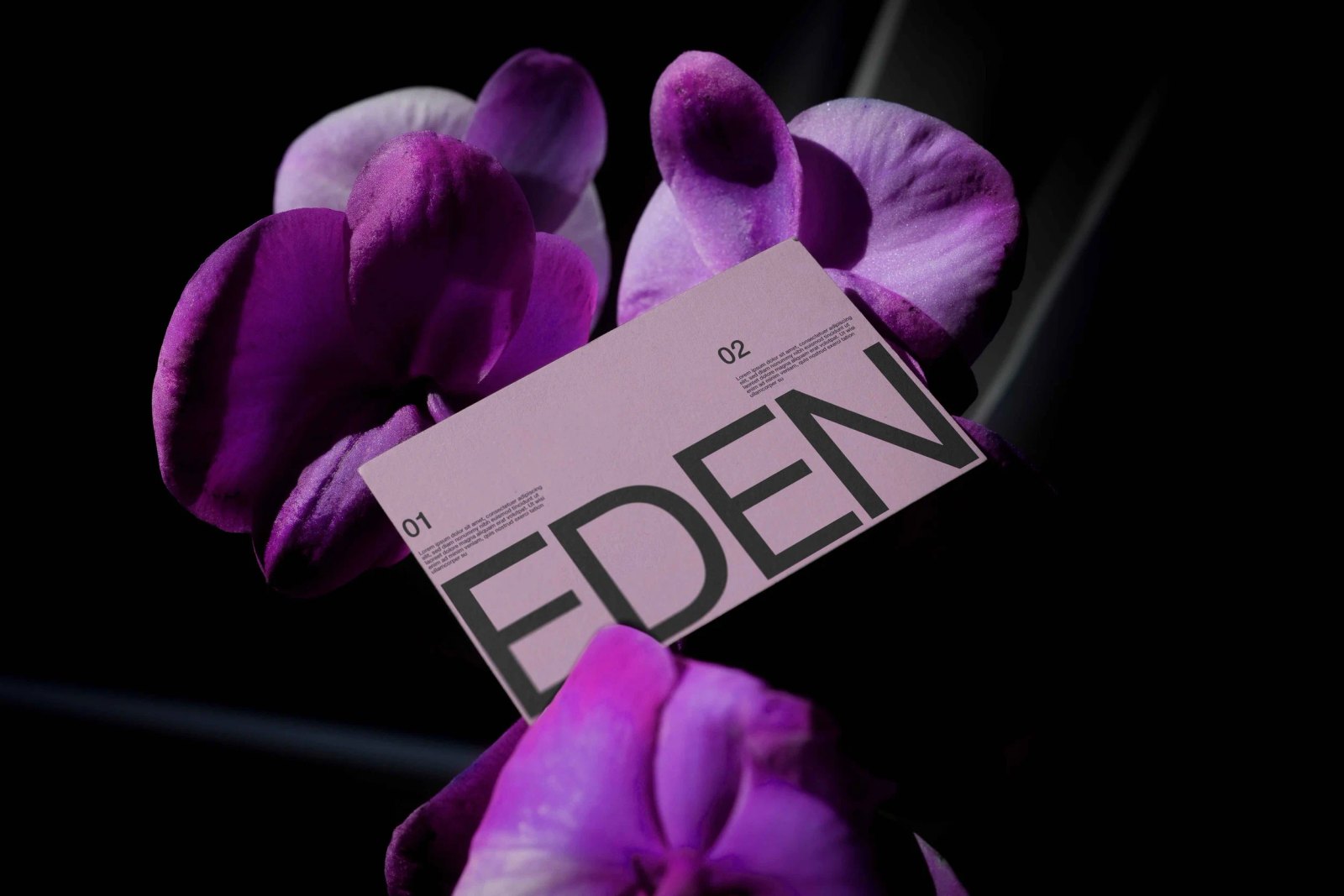 EDEN BUSINESS CARD 01 preview 4