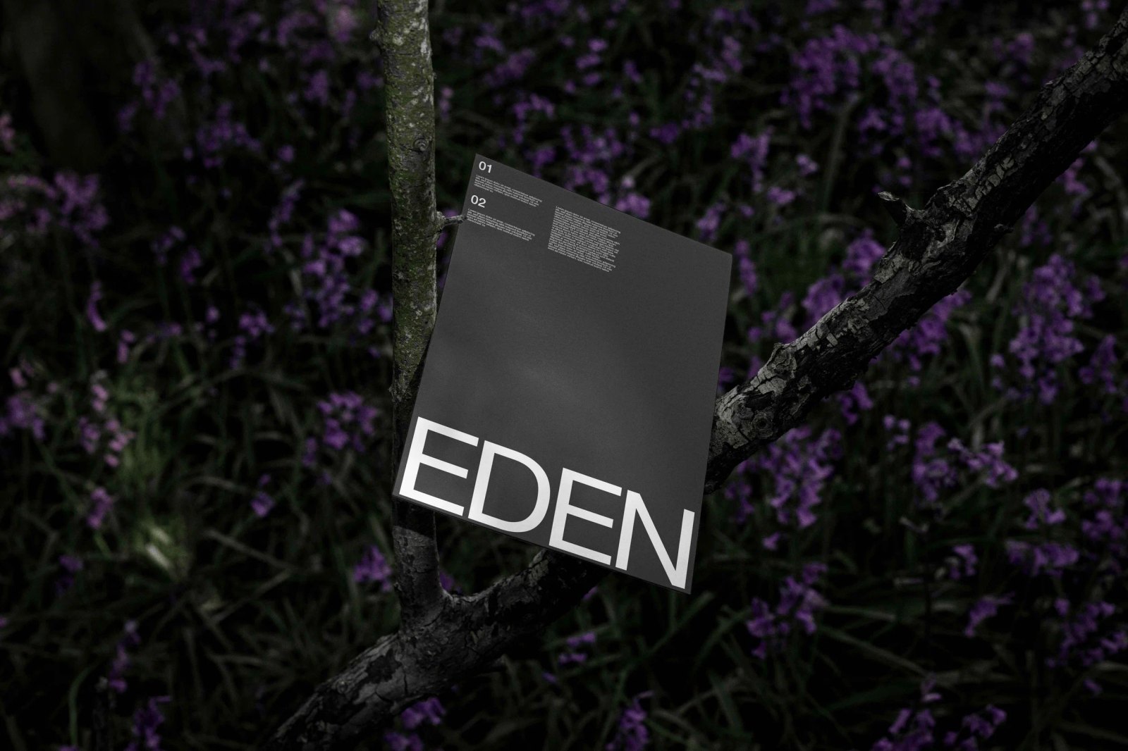 EDEN POSTER 01 preview 4