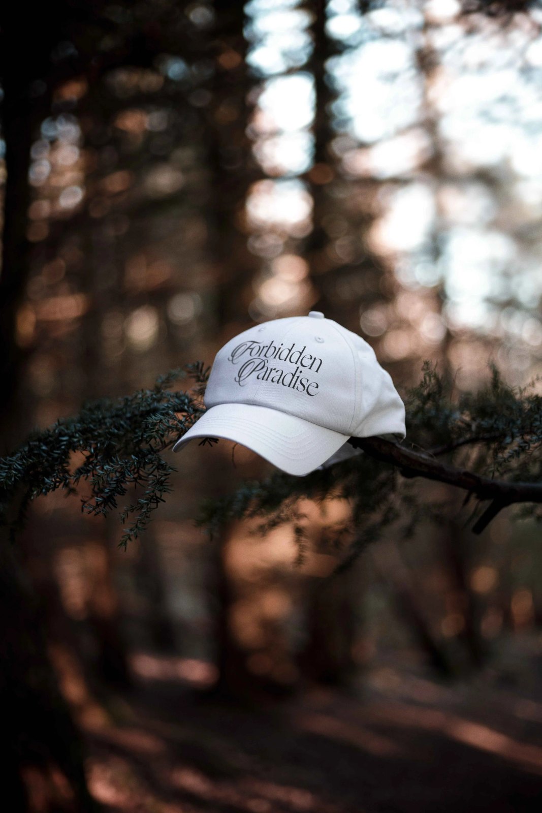 EDEN 02 CAP 05
