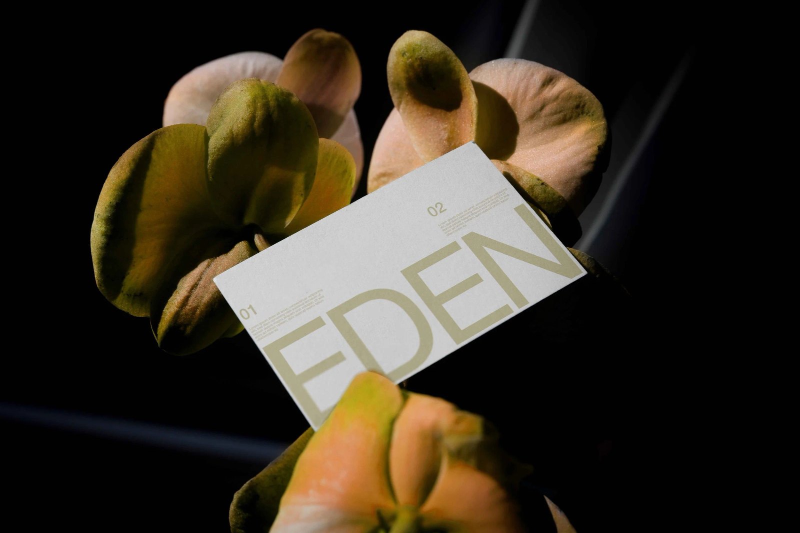 EDEN BUSINESS CARD 01 preview 3