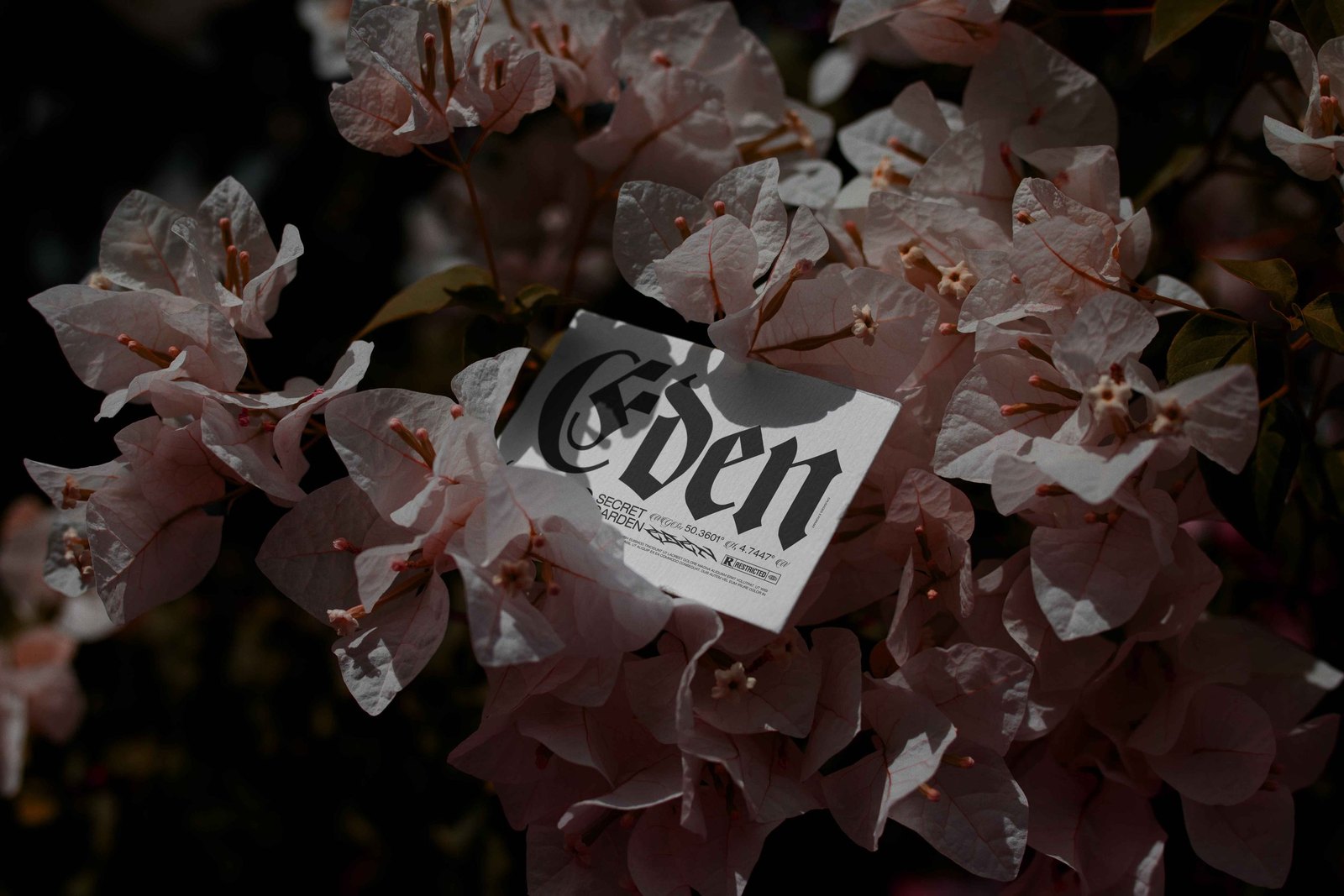 EDEN 02 BUSINESS CARD 12 preview 3