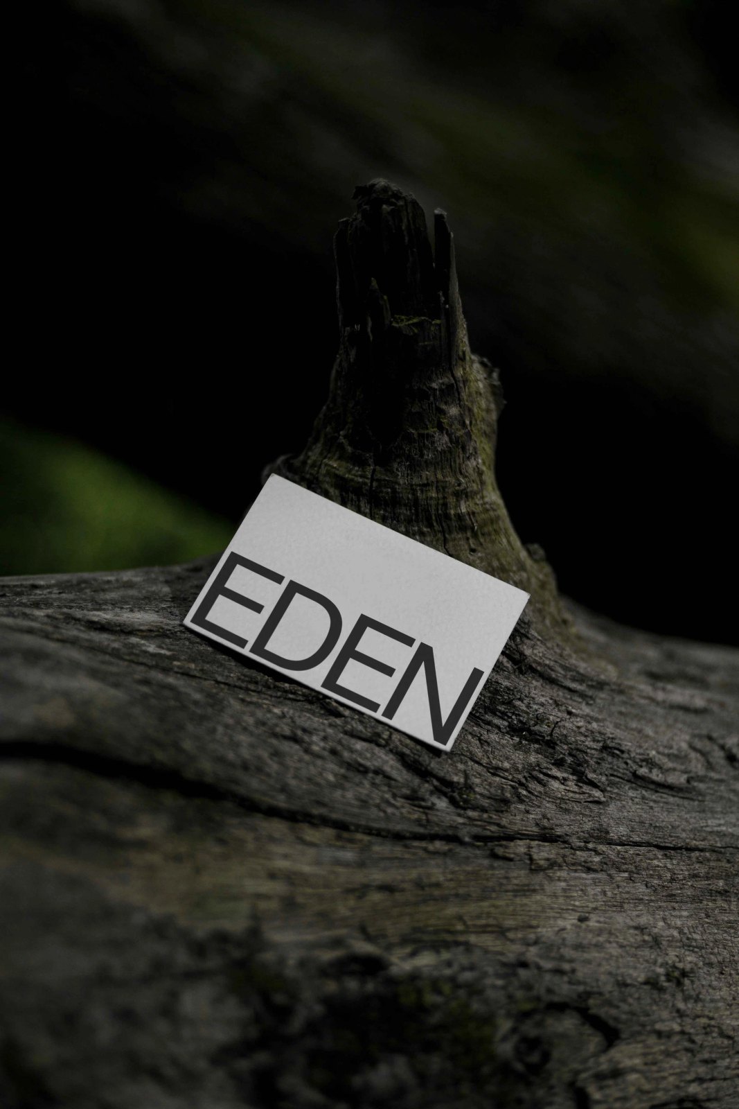 EDEN BUSINESS CARD 10