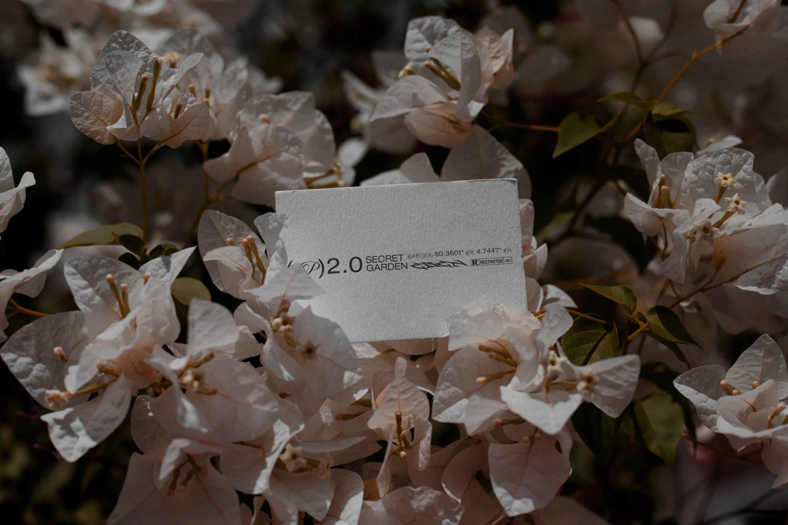 EDEN 02 BUSINESS CARD 11 preview 3