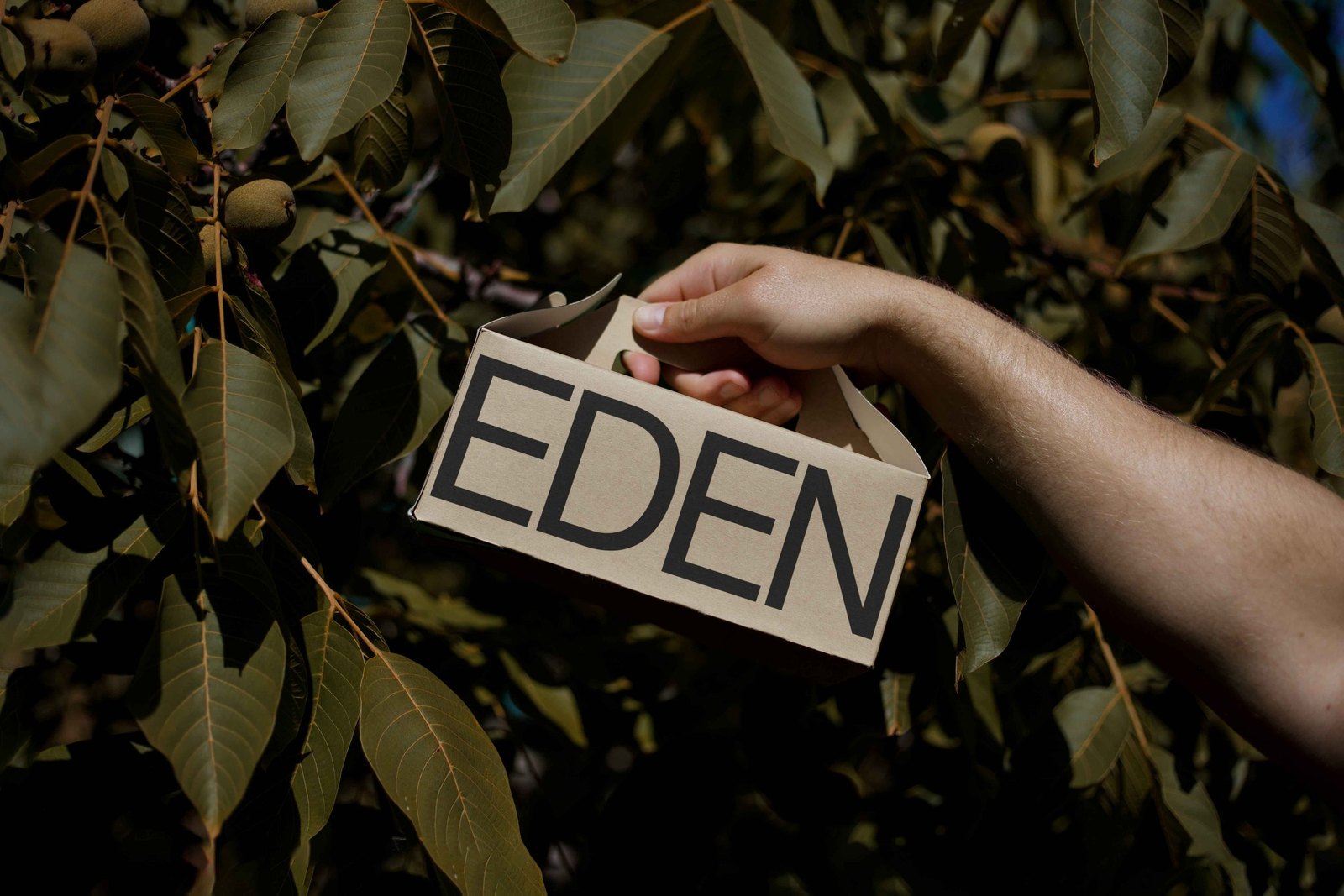 EDEN SMALL ECO BOX 03 preview 3