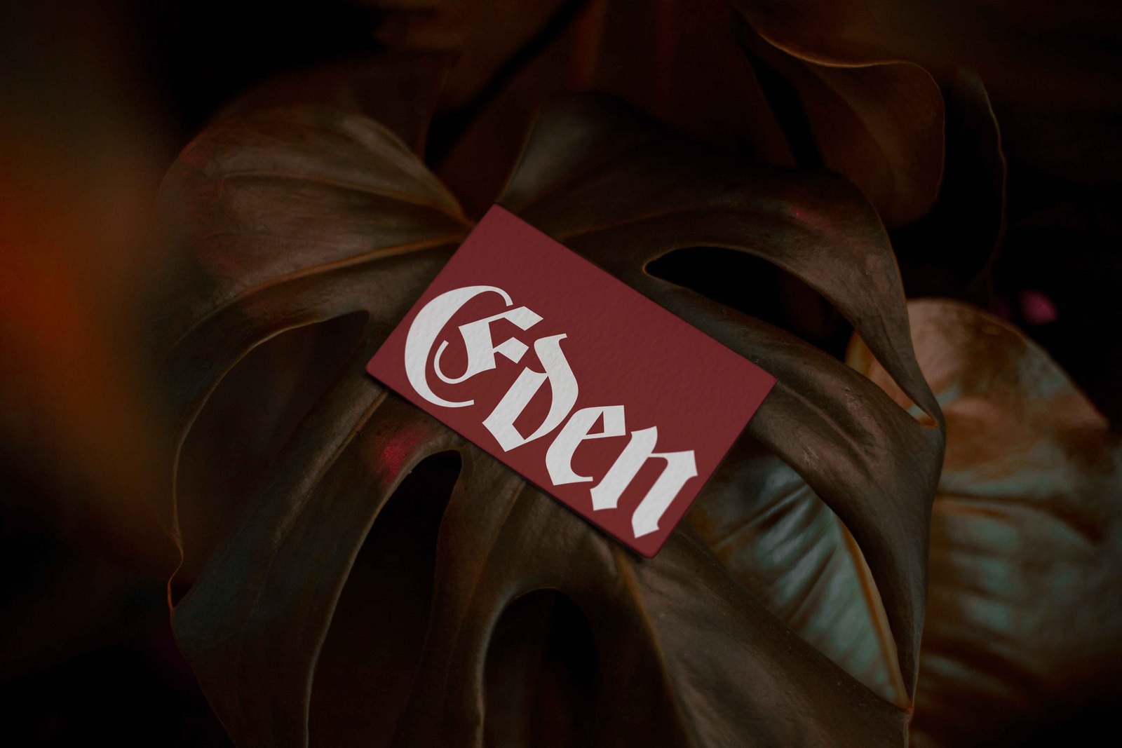 EDEN 02 BUSINESS CARD 05 preview 4