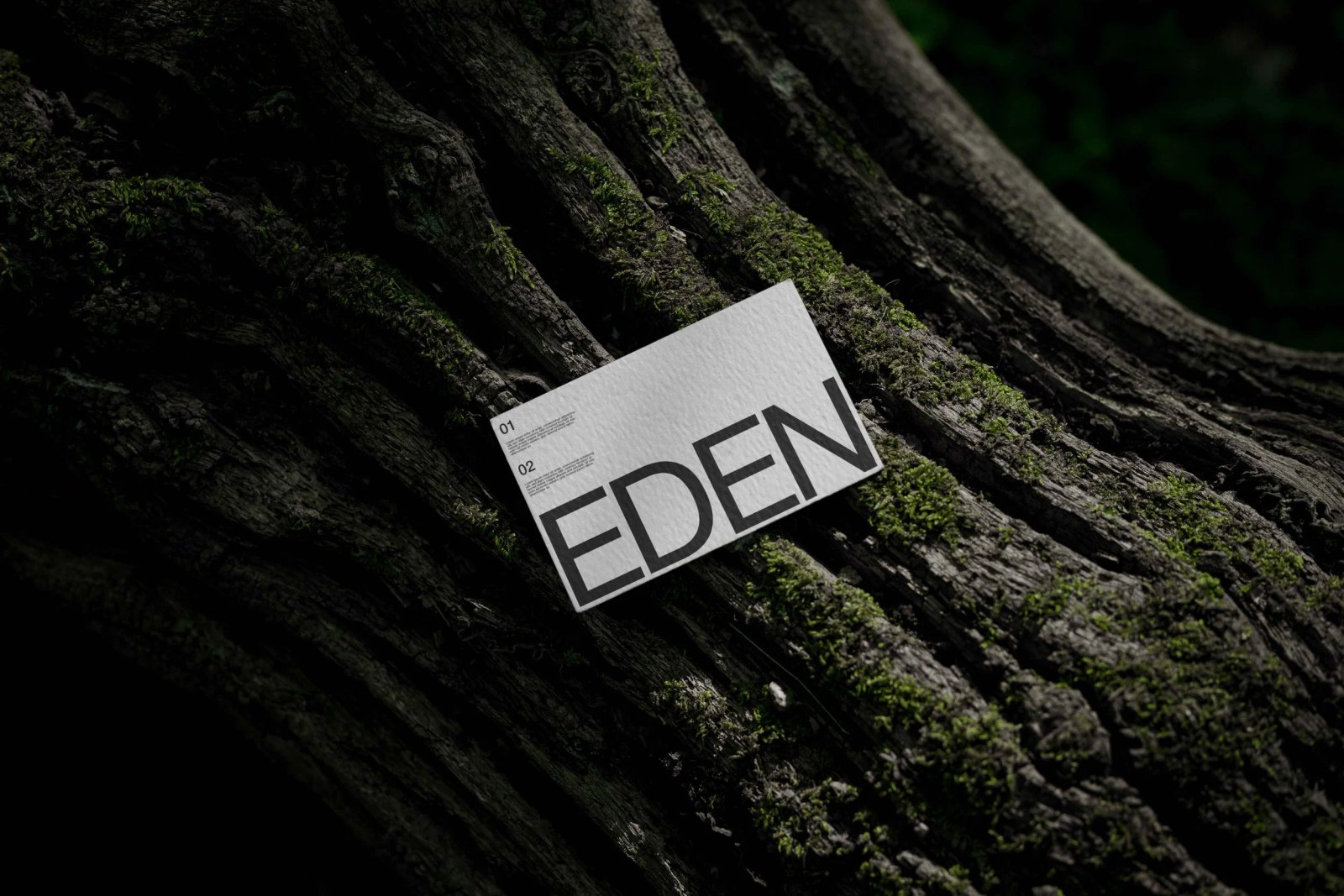 EDEN BUSINESS CARD 02