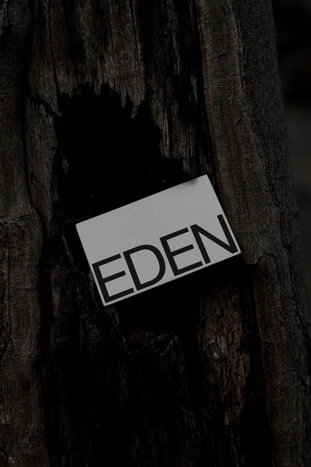 EDEN BUSINESS CARD 04