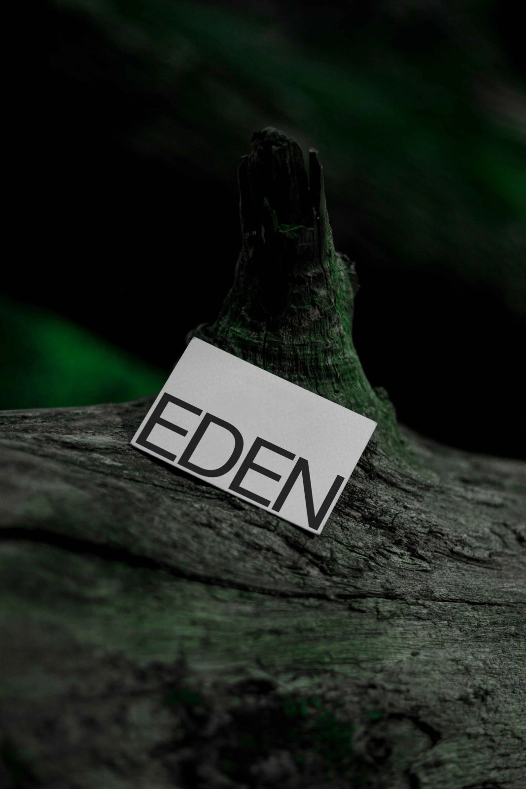 EDEN BUSINESS CARD 10 preview 3