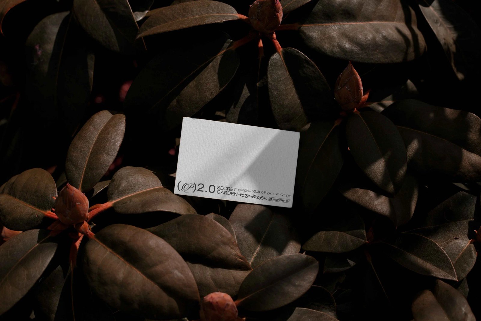 EDEN 02 BUSINESS CARD 07
