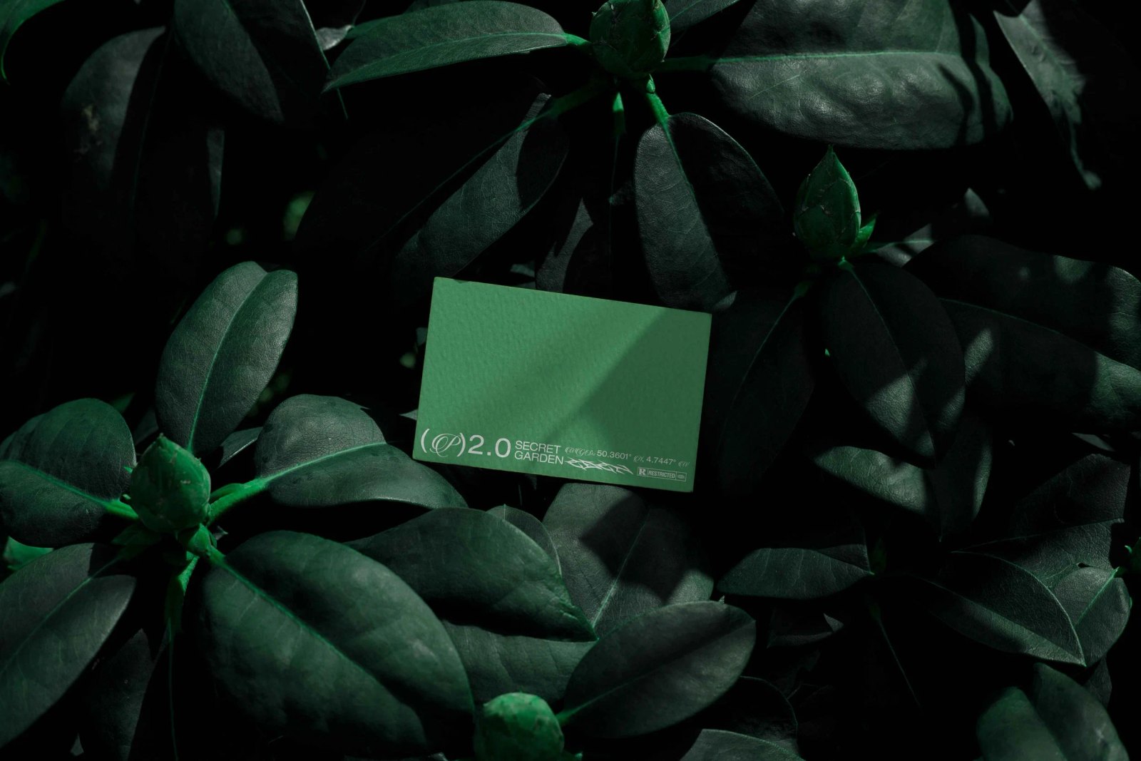 EDEN 02 BUSINESS CARD 07 preview 5