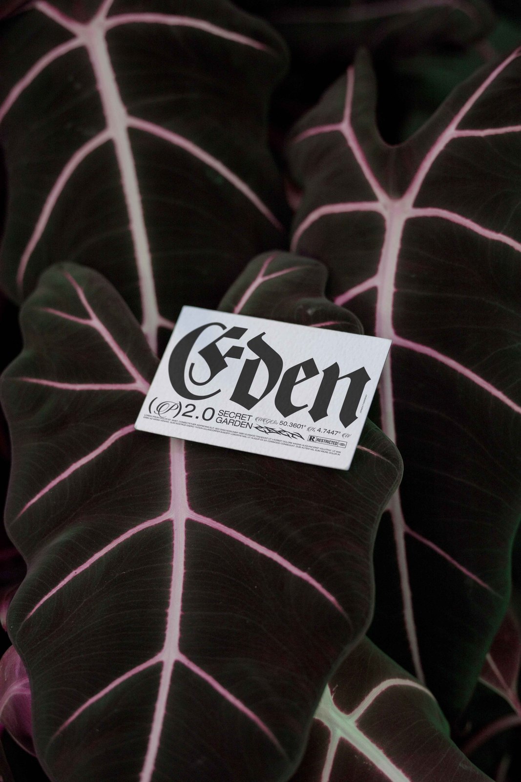 EDEN 02 BUSINESS CARD 04 preview 3