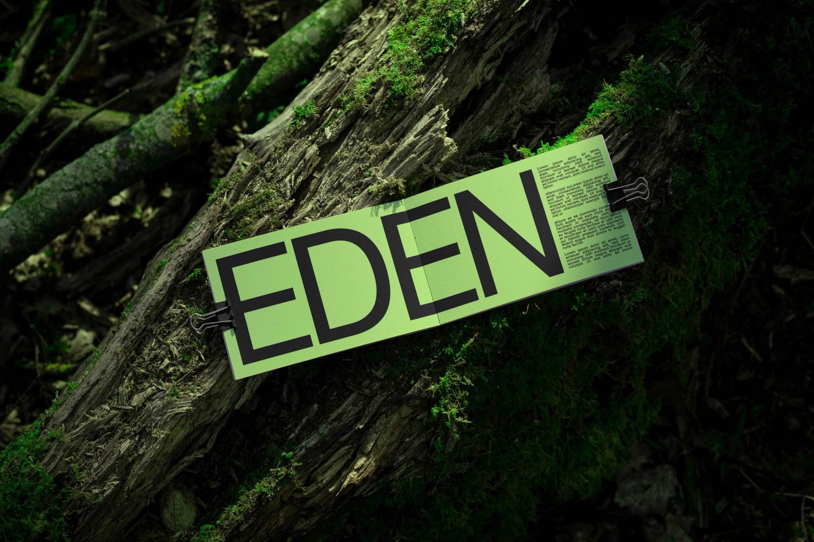 EDEN BOOK 03 preview 3