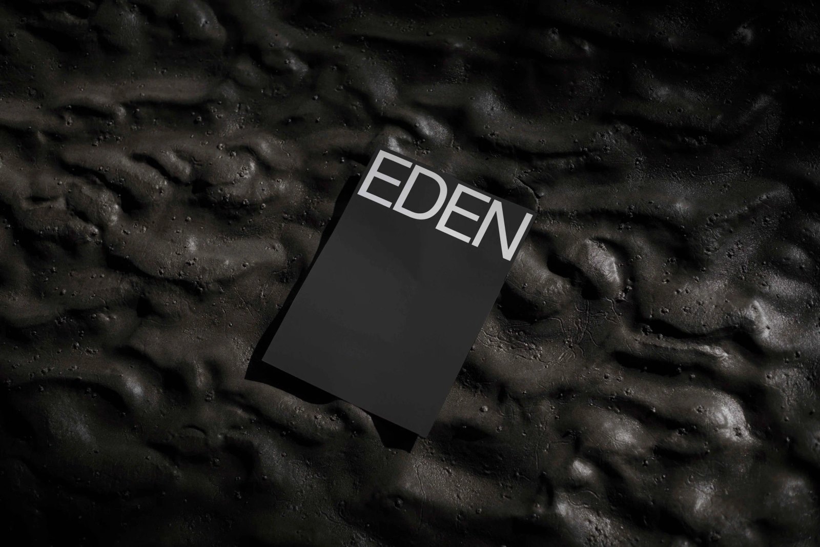 EDEN POSTER 03