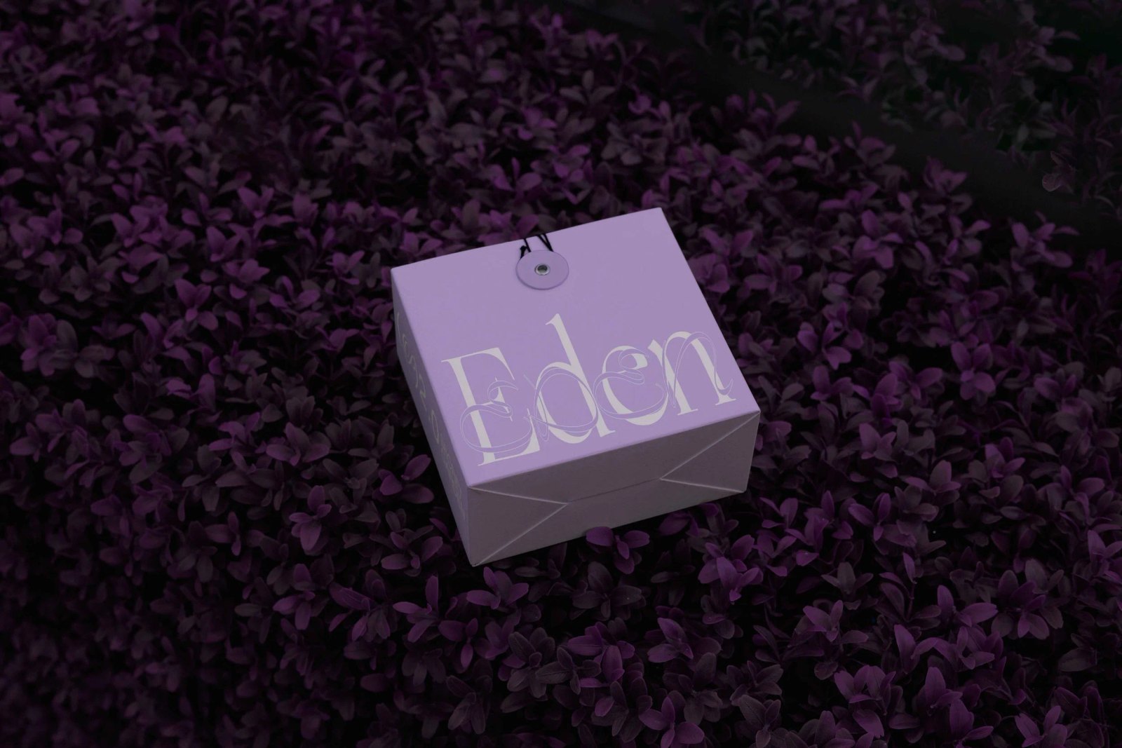 EDEN 02 BOX 03 preview 3
