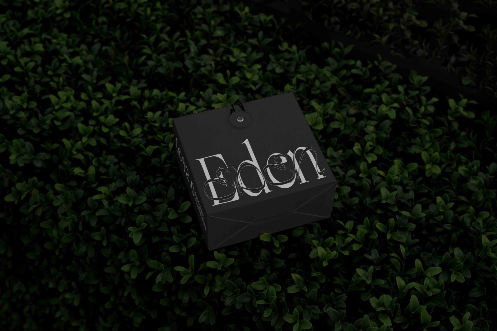 EDEN 02 BOX 03 preview 4