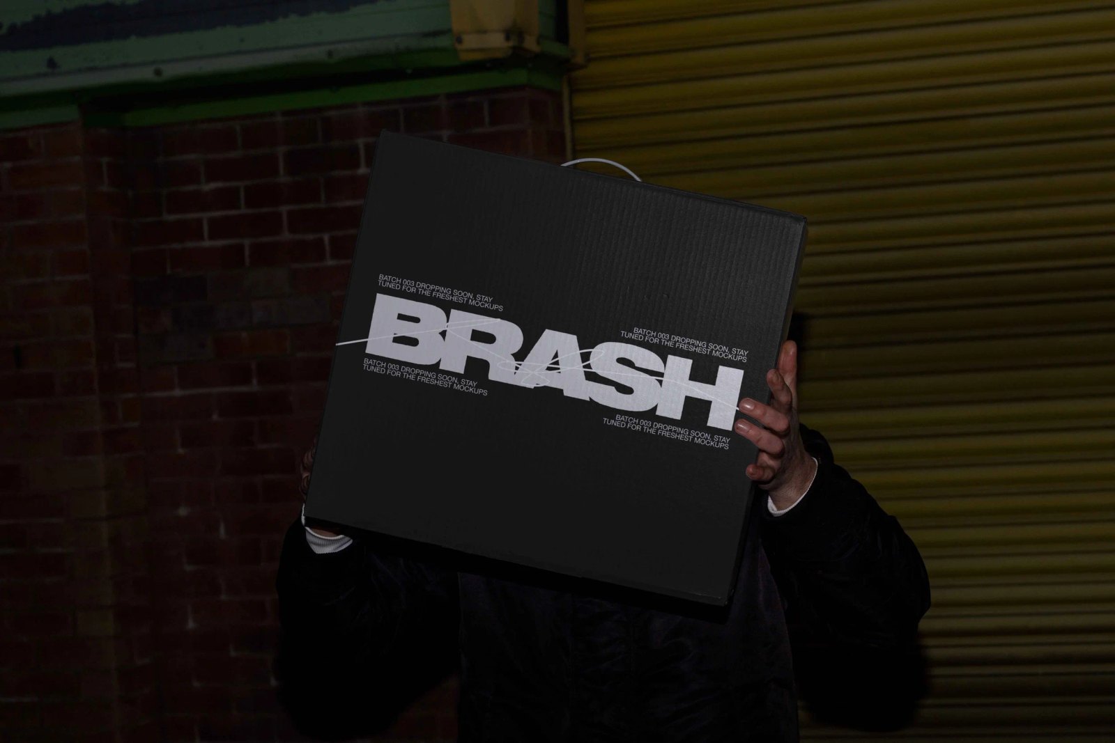 BRASH BOX 03 preview 5