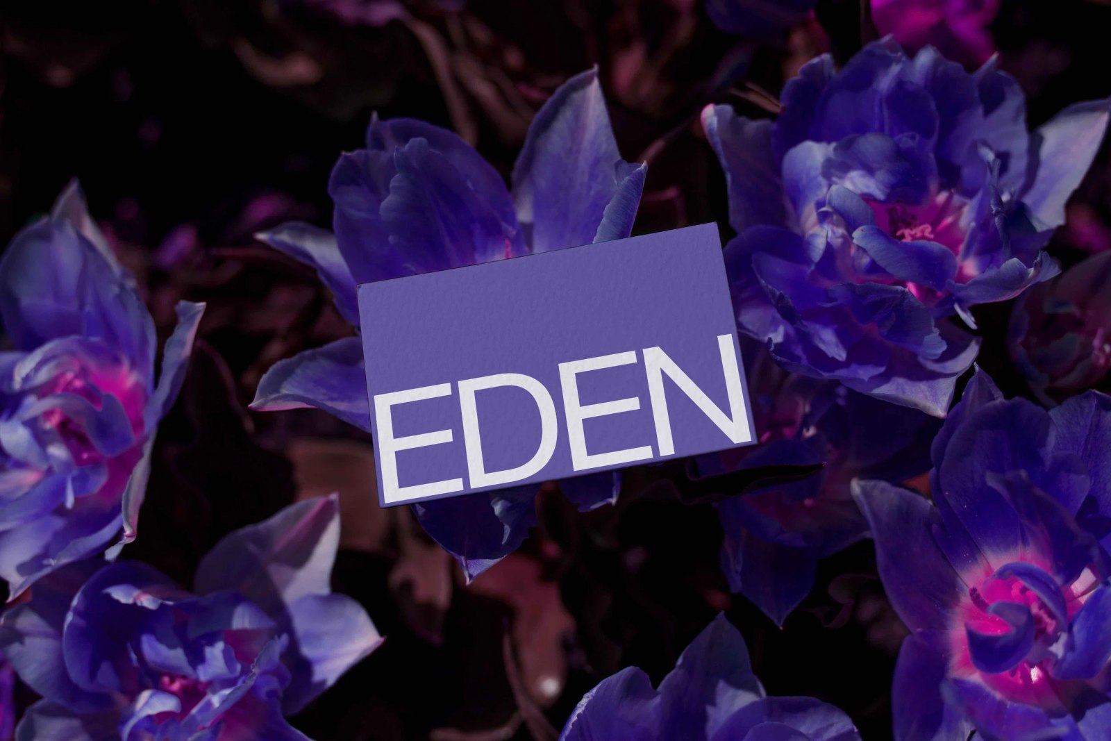 EDEN BUSINESS CARD 06 preview 3