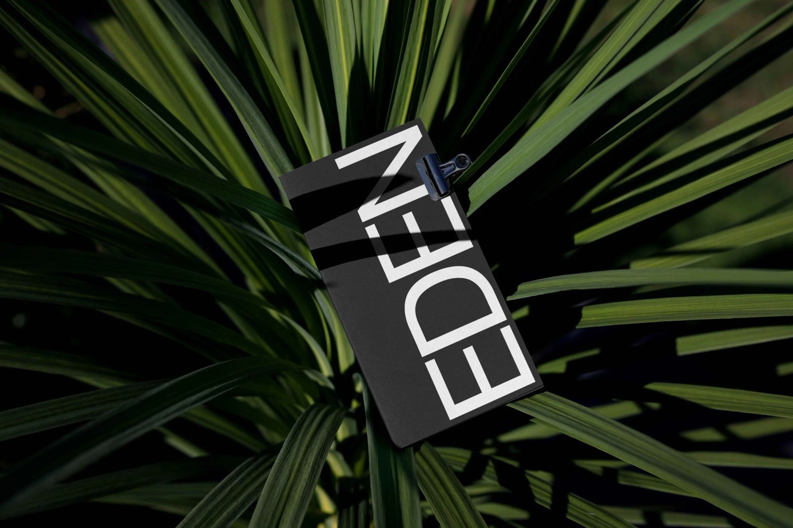 EDEN BOOK 05