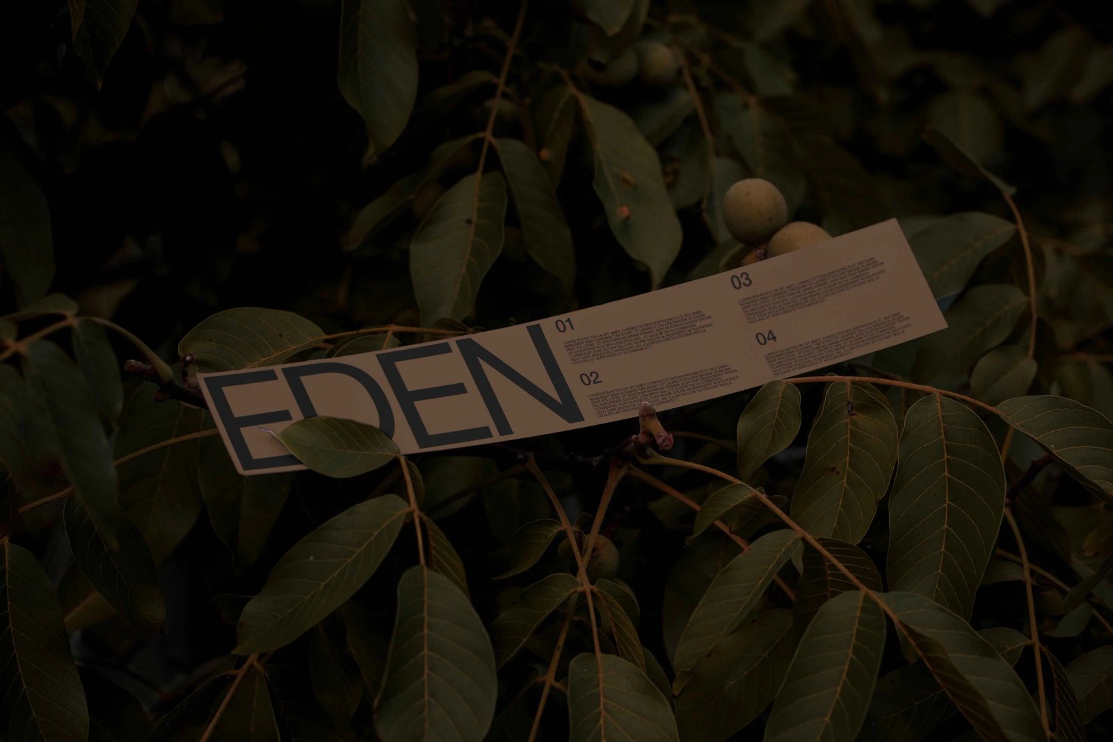 EDEN PAPERSTRIP preview 3