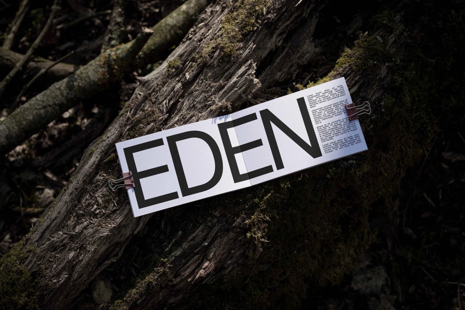 EDEN BOOK 03