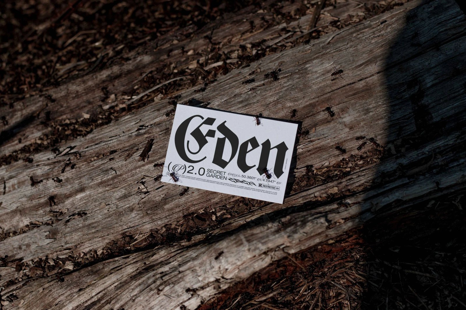EDEN 02 BUSINESS CARD 17 preview 3