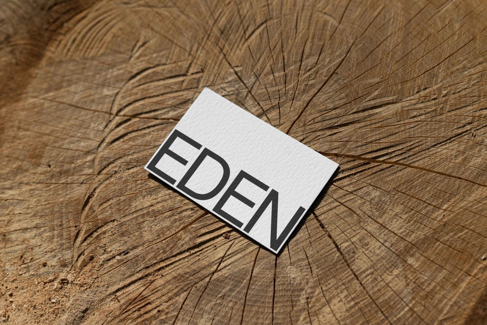 EDEN BUSINESS CARD 12 preview 3
