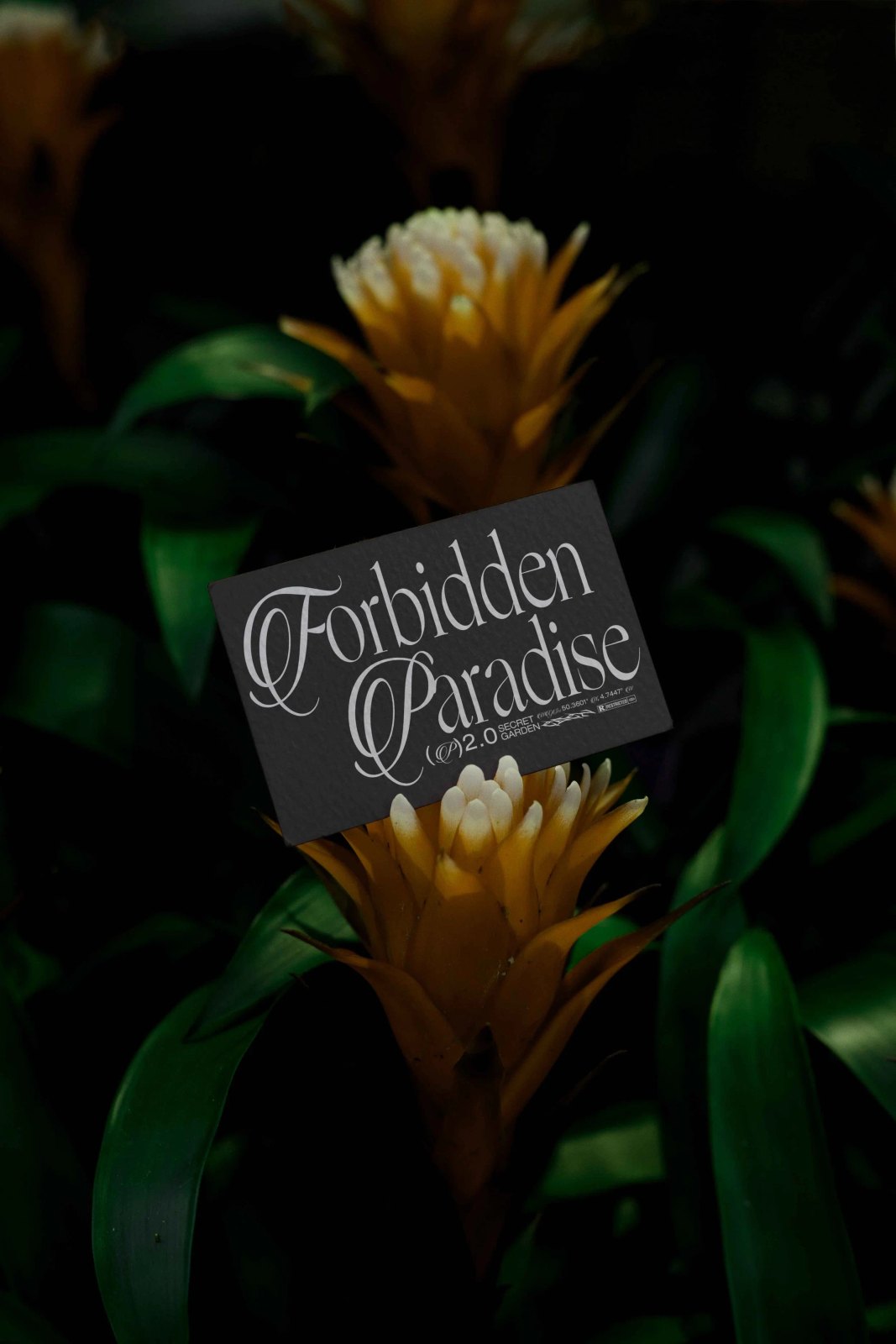 EDEN 02 BUSINESS CARD 06 preview 3