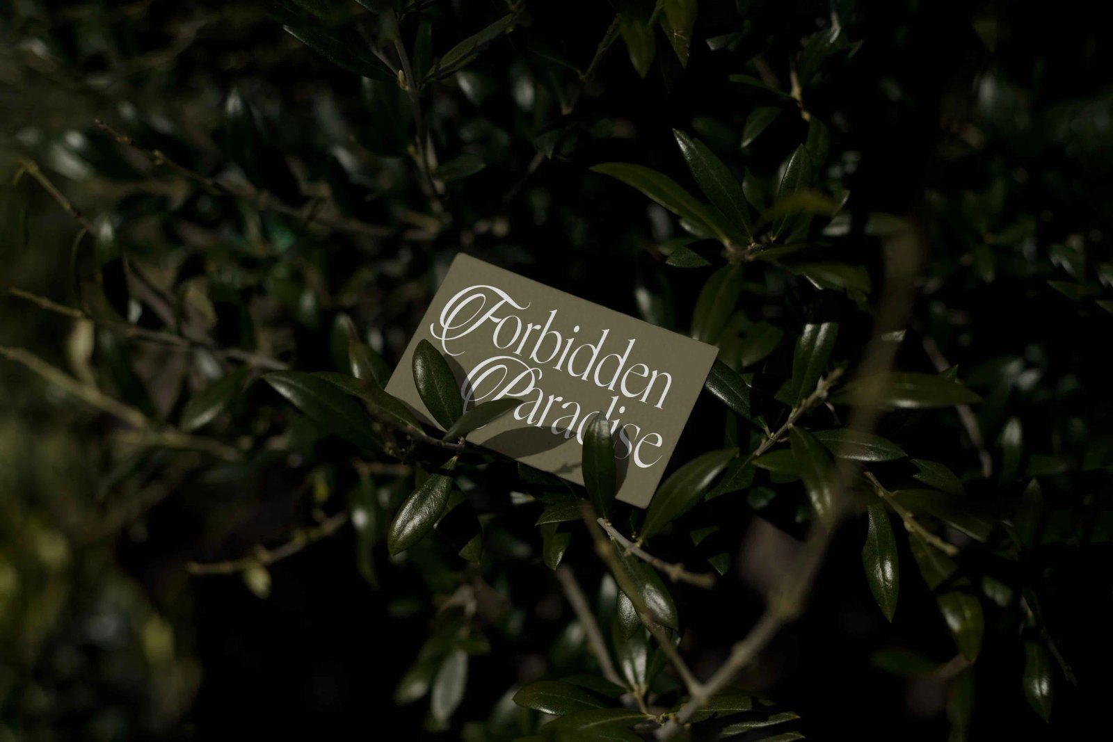EDEN 02 BUSINESS CARD 01 preview 3