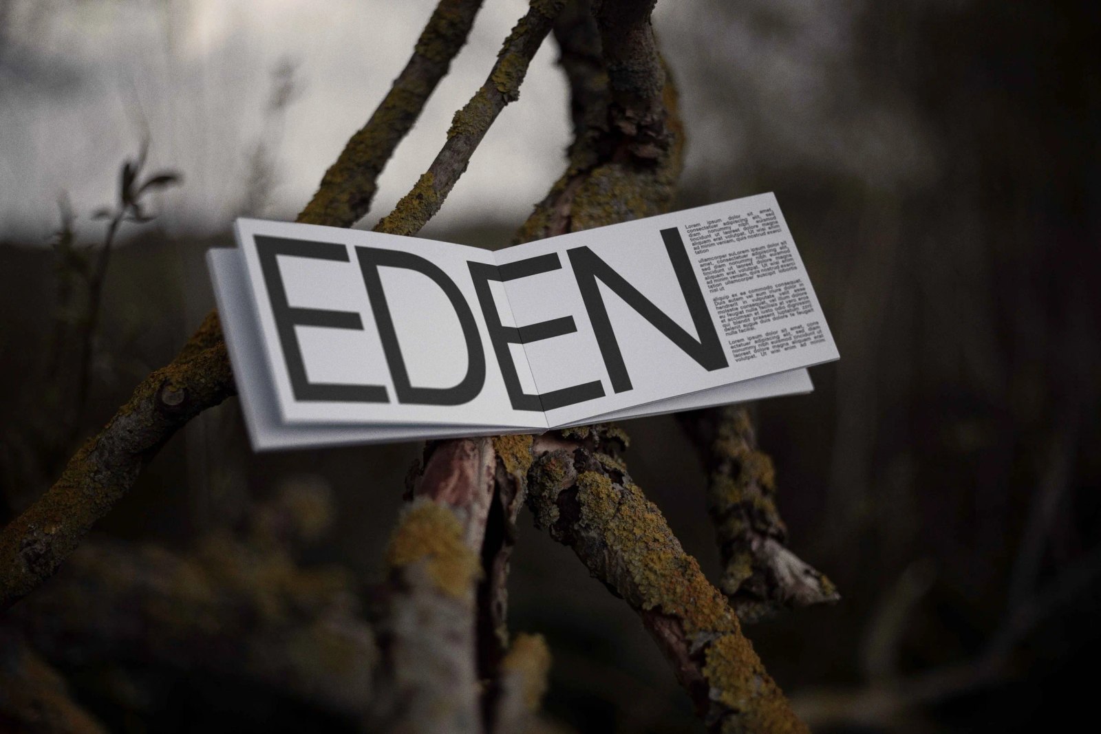 EDEN BOOK 01