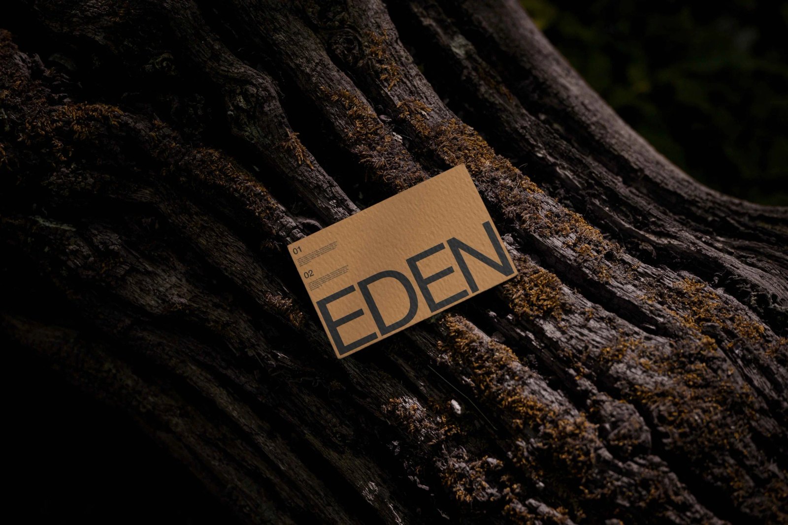EDEN BUSINESS CARD 02 preview 4