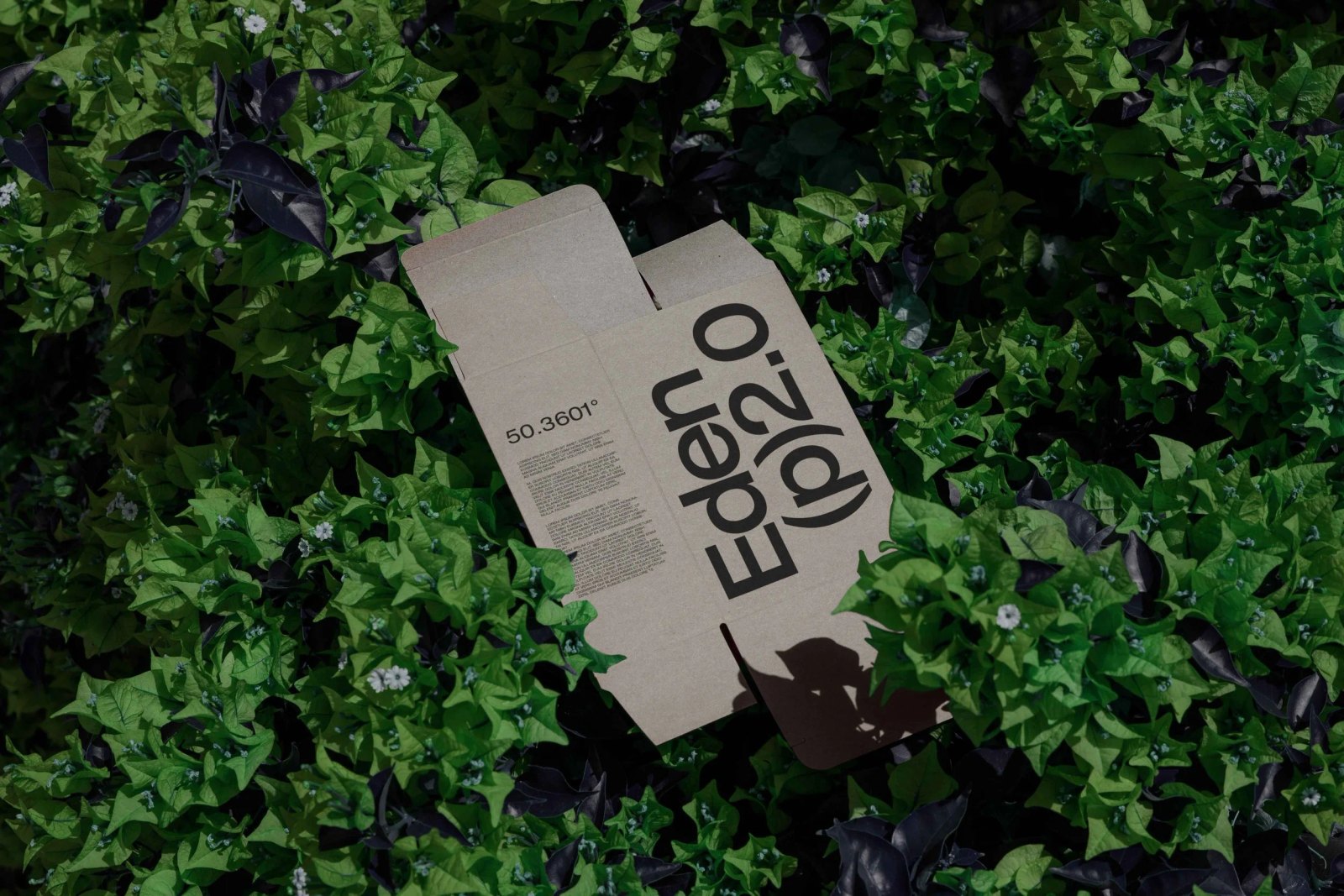 EDEN 02 BOX 05 preview 4