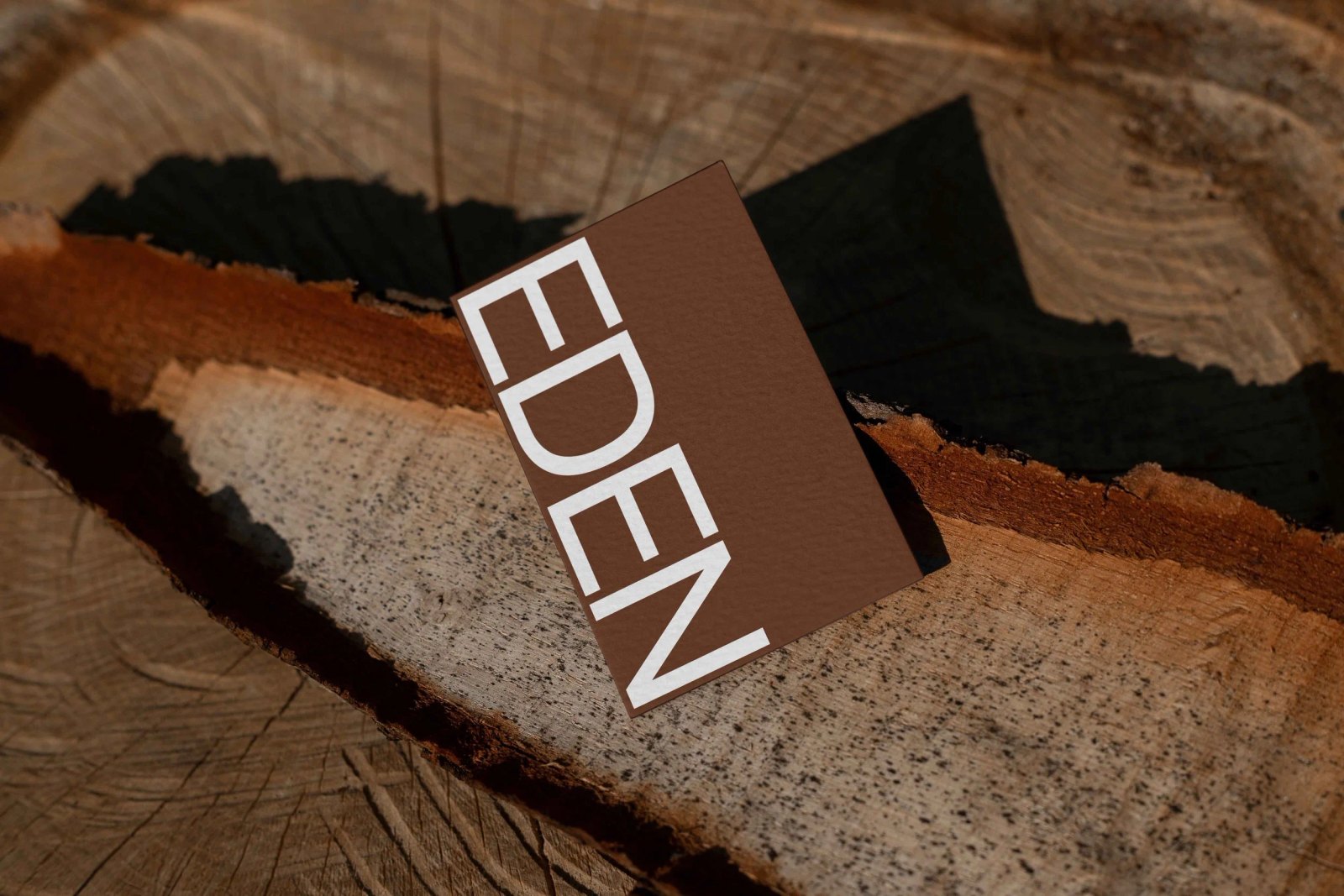 EDEN BUSINESS CARD 11 preview 3