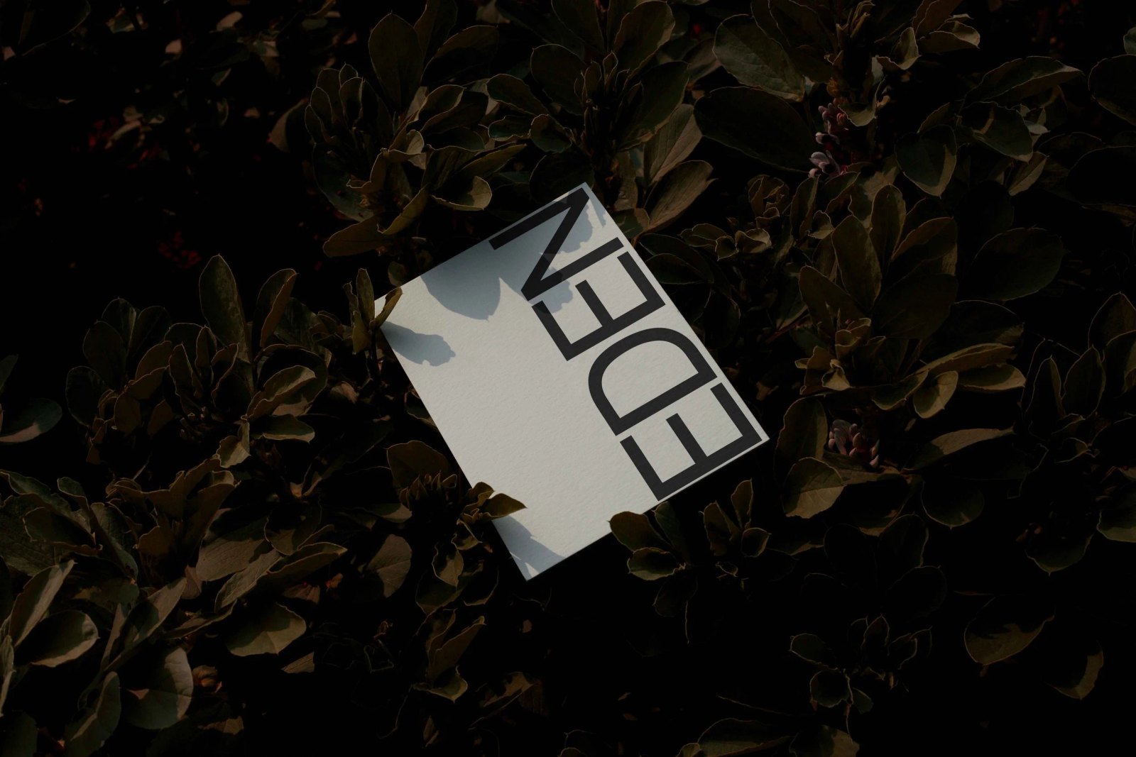 EDEN POSTER 02
