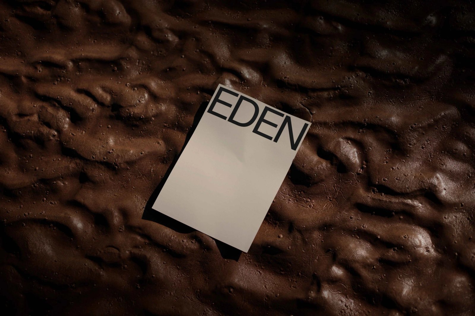 EDEN POSTER 03 preview 3