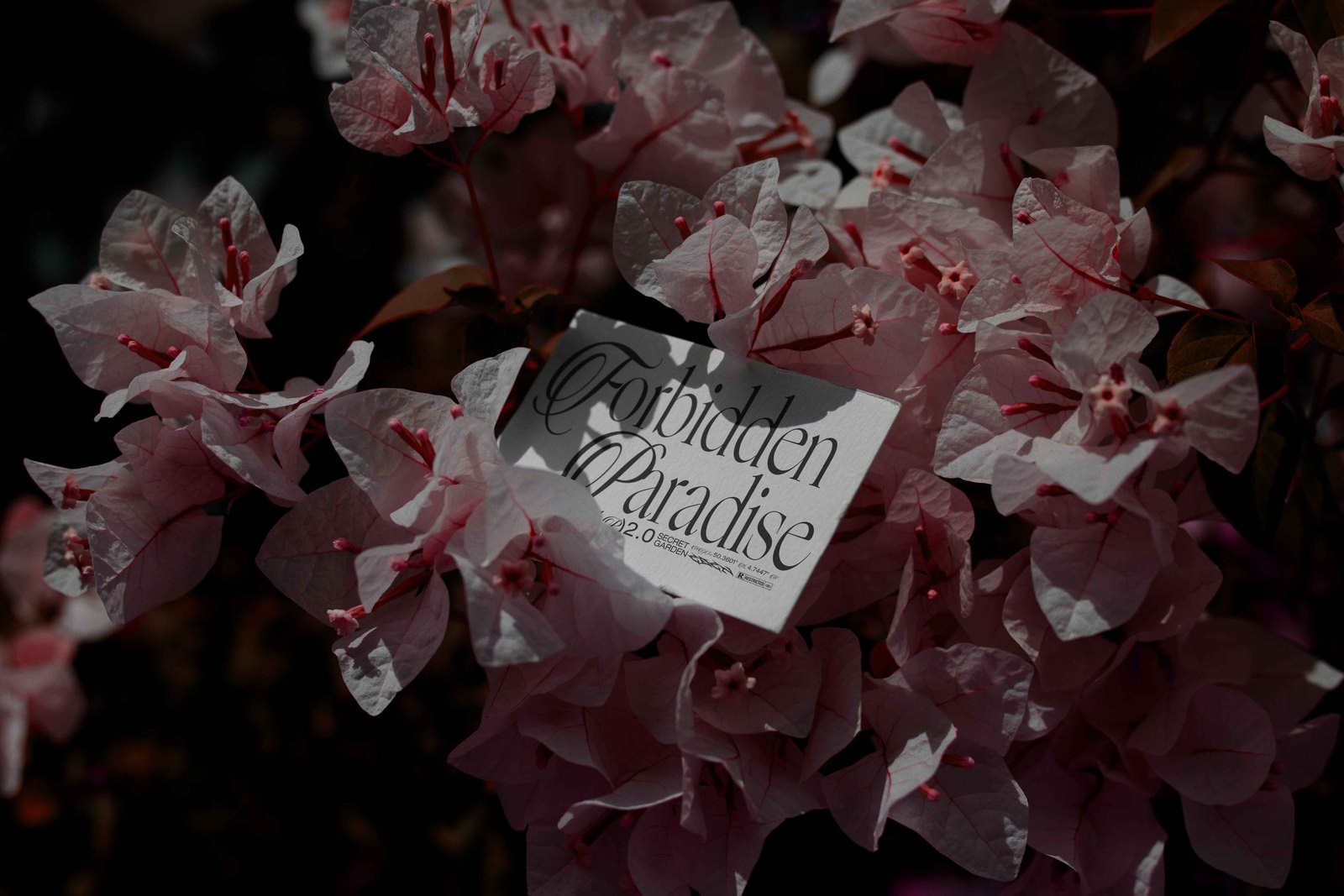 EDEN 02 BUSINESS CARD 12