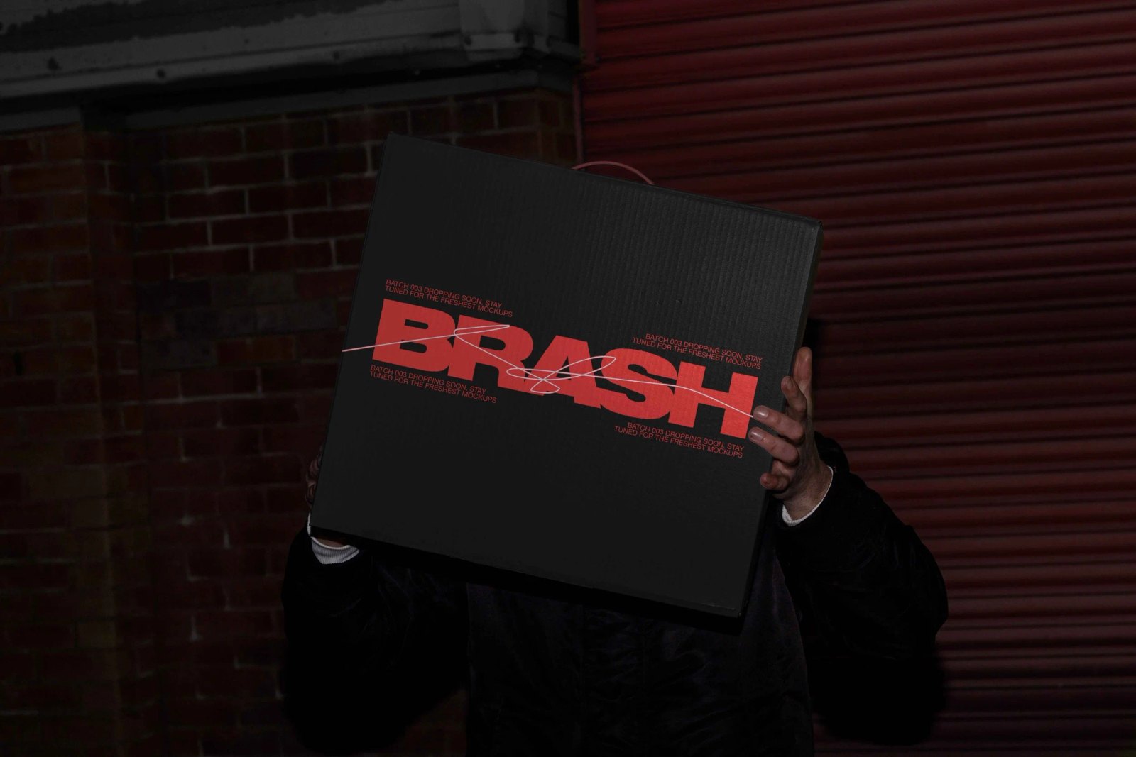 BRASH BOX 03 preview 4