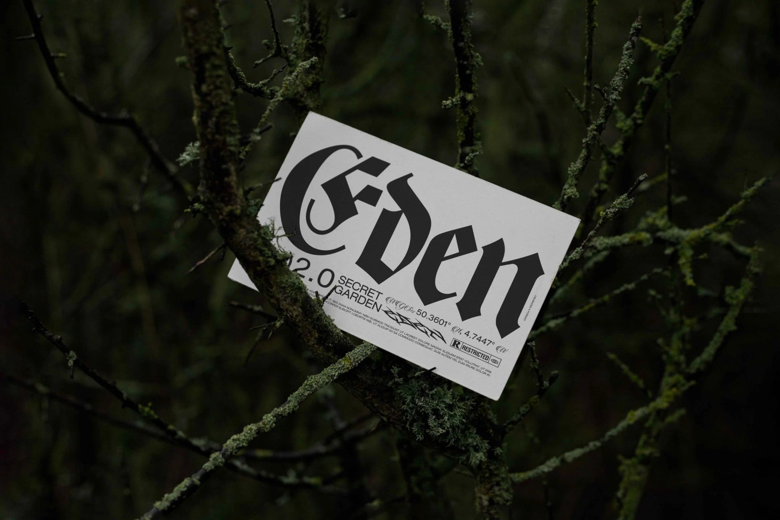 EDEN 02 CARD 02