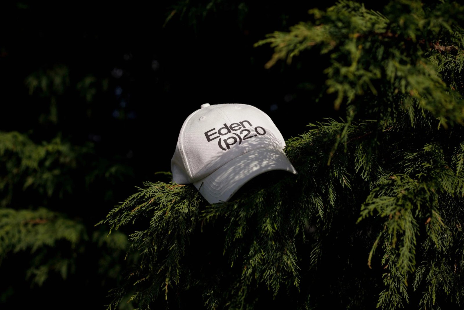 EDEN 02 CAP 06