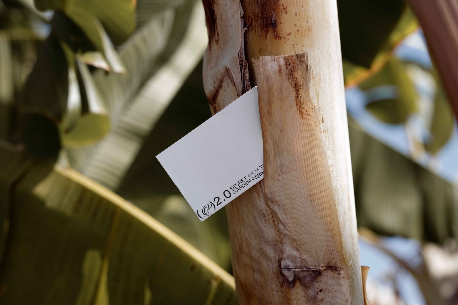 EDEN 02 BUSINESS CARD 08