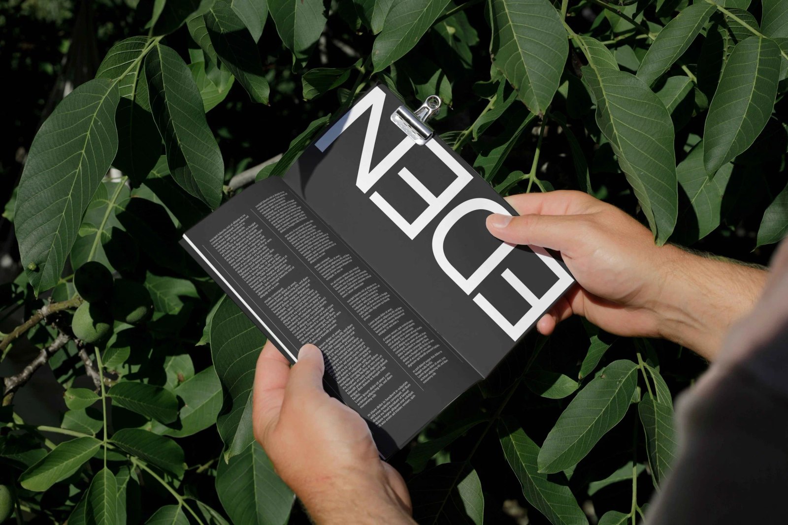 EDEN BOOK 04