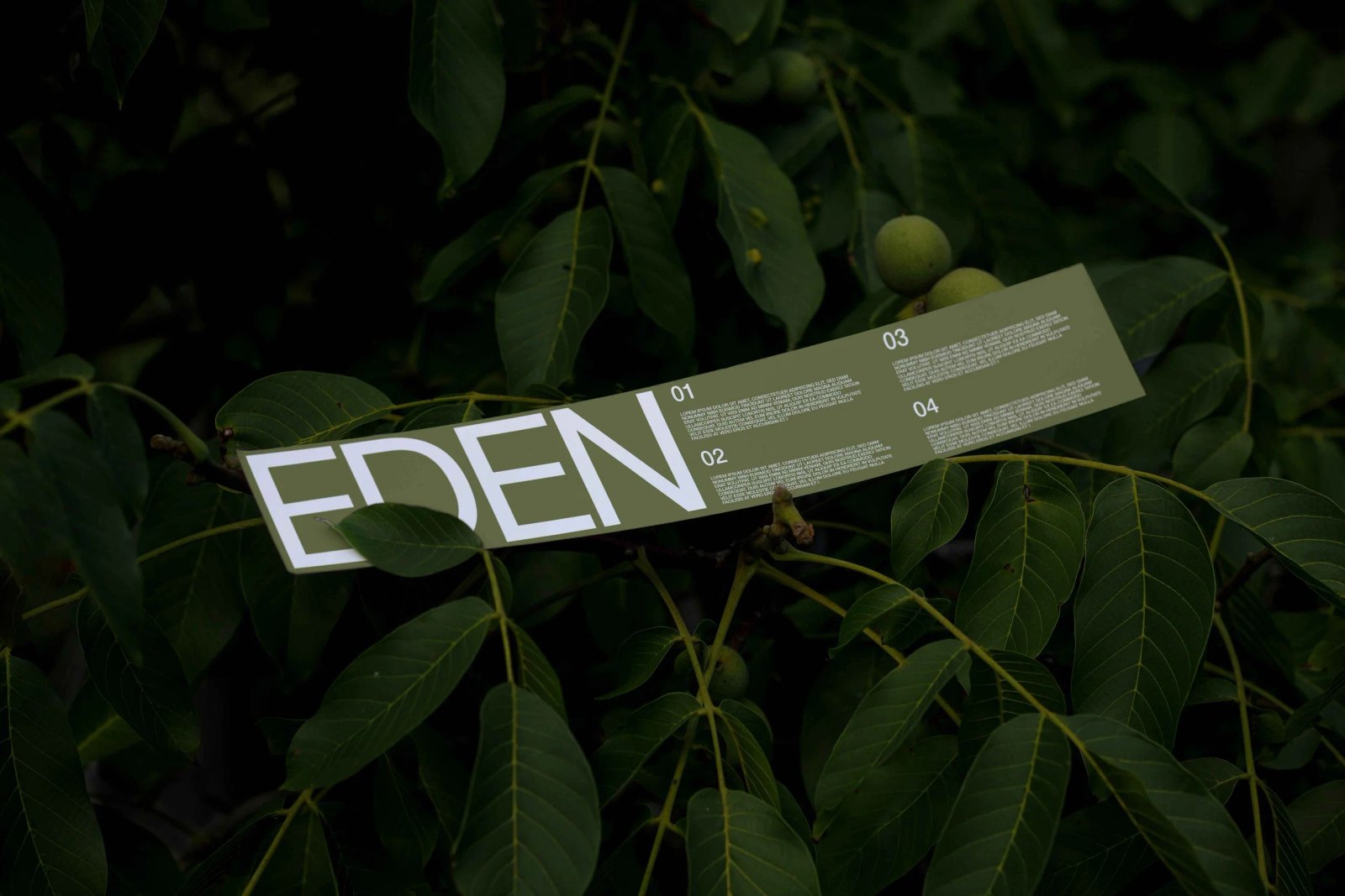 EDEN PAPERSTRIP